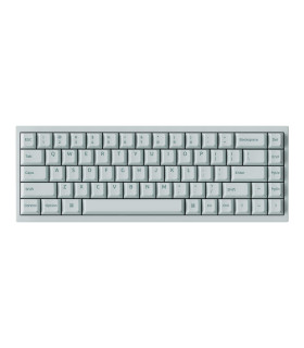 Q16 HE 8K Light Green QMK Magnetic Switch (US)