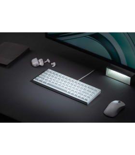 Q16 HE 8K Light Green QMK Magnetic Switch (US)