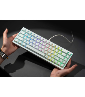 Q16 HE 8K Light Green QMK Magnetic Switch (US)