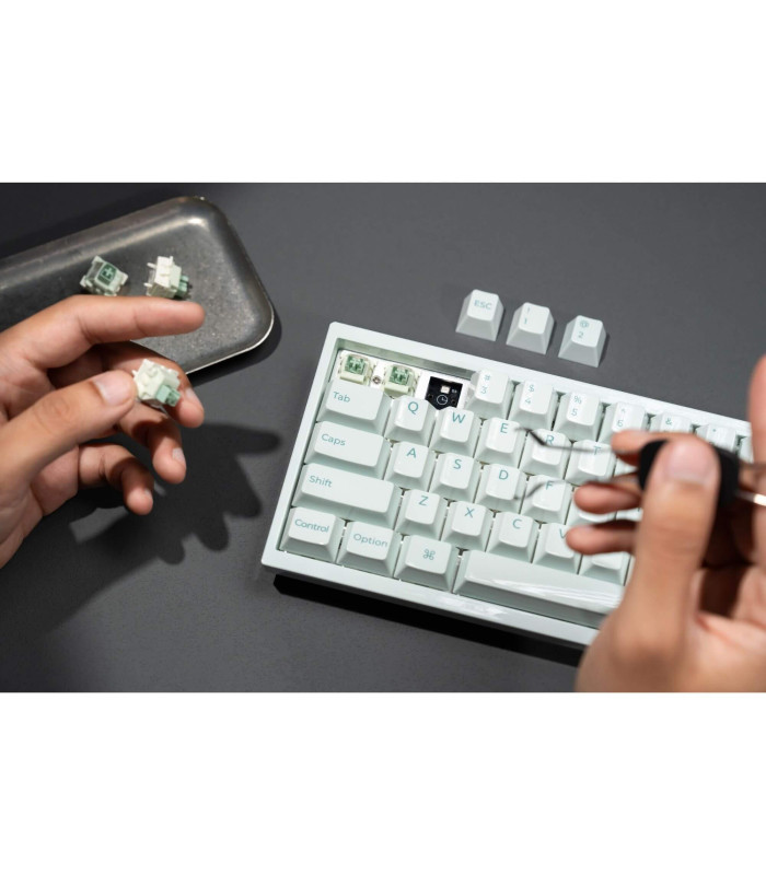 Q16 HE 8K Light Green QMK Magnetic Switch (US)