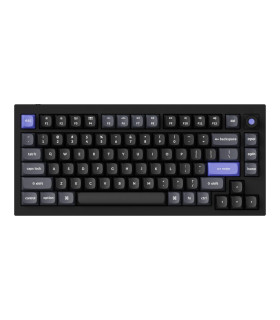 Q1 HE 8K Black QMK Magnetic Switch (US)