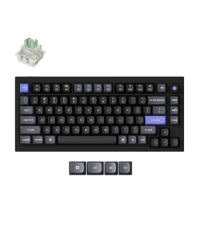 Q1 HE 8K Black QMK Magnetic Switch (US)