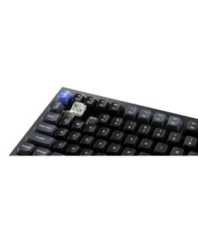 Q1 HE 8K Black QMK Magnetic Switch (US)