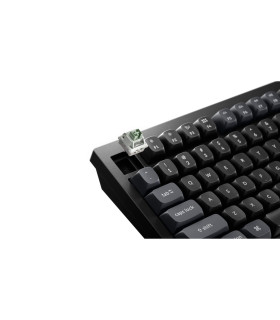 Q1 HE 8K Black QMK Magnetic Switch (US)