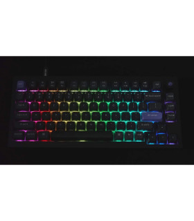 Q1 HE 8K Black QMK Magnetic Switch (US)