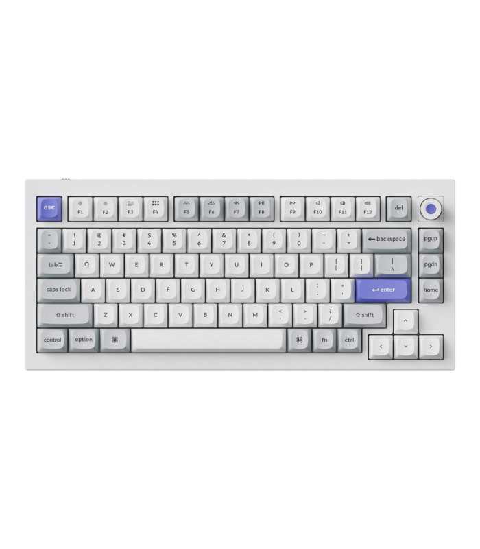 Q1 HE 8K White QMK Magnetic Switch (US)