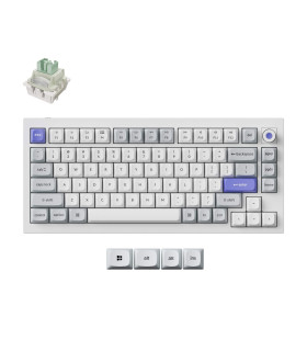 Q1 HE 8K White QMK Magnetic Switch (US)