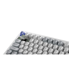 Q1 HE 8K White QMK Magnetic Switch (US)