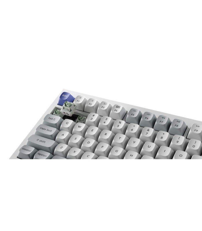 Q1 HE 8K White QMK Magnetic Switch (US)