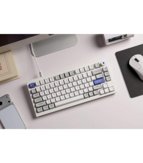 Q1 HE 8K White QMK Magnetic Switch (US)