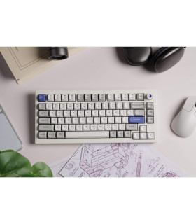 Q1 HE 8K White QMK Magnetic Switch (US)