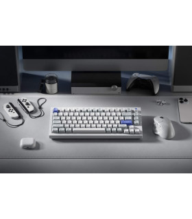 Q1 HE 8K White QMK Magnetic Switch (US)