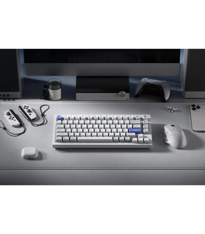 Q1 HE 8K White QMK Magnetic Switch (US)