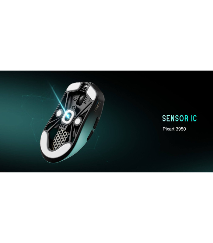 LAMZU MAYA X Purple Shadow Edition