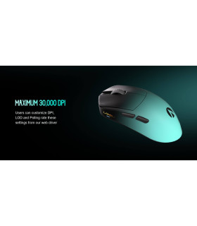 LAMZU MAYA X Purple Shadow Edition