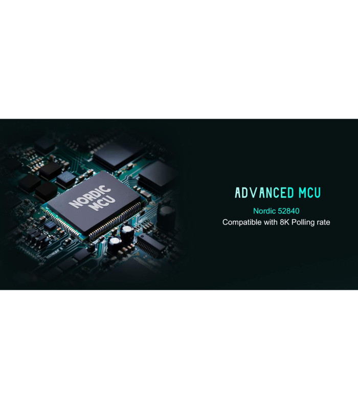 LAMZU MAYA X Purple Shadow Edition