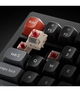 Keychron V1 Ultra Black Red Switch (US) w/Knob