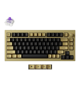 Q1 HE Copper Edition QMK Magnetic Switch (US)