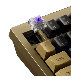 Q1 HE Copper Edition QMK Magnetic Switch (US)