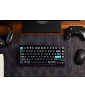 Keychron Q1 Ultra Black QMK Red Switch (US) Knob