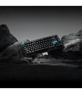 Keychron Q1 Ultra Black QMK Brown Switch (US) Knob