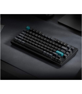 Keychron Q1 Ultra Black QMK Brown Switch (US) Knob