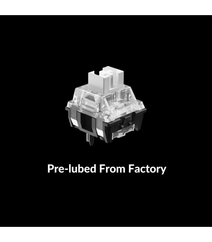 Black Myth Wukong - Deluxe Version TTC Bluish White Switch (US)