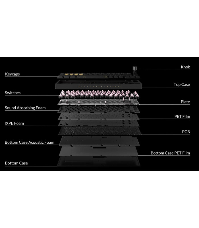 Black Myth Wukong - Deluxe Version TTC Golden Pink Switch (US)