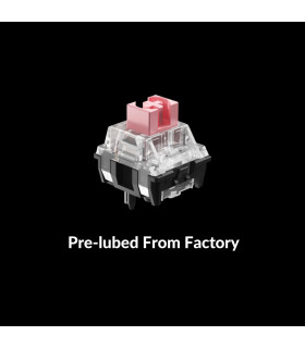 Black Myth Wukong - Deluxe Version TTC Golden Pink Switch (US)