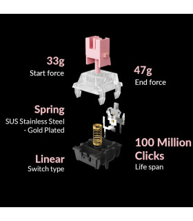 Black Myth Wukong - Deluxe Version TTC Golden Pink Switch (US)