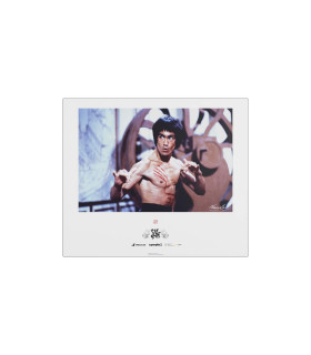 Superglide Pad v3 x Bruce lee 85th ED Bruce Lee Picture XL