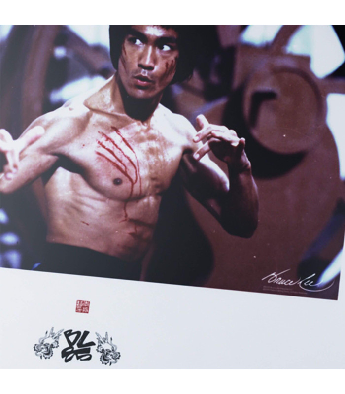 Superglide Pad v3 x Bruce lee 85th ED Bruce Lee Picture XL