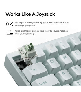Q16 HE 8K Light Green QMK Magnetic Switch (CH)