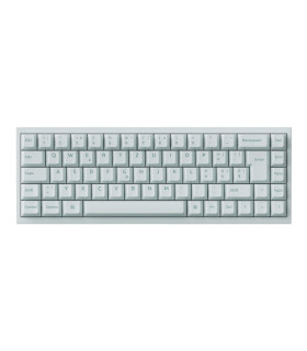Q16 HE 8K Light Green QMK Magnetic Switch (CH)