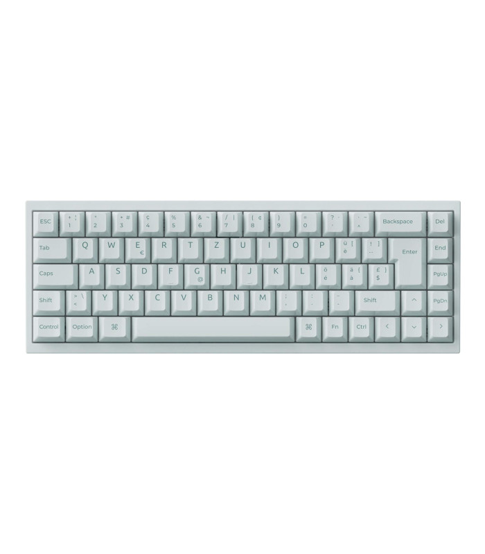 Q16 HE 8K Light Green QMK Magnetic Switch (CH)