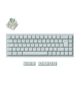 Q16 HE 8K Light Green QMK Magnetic Switch (CH)