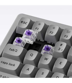 Keychron K2 HE Cement Edition Magnetic Switch (US)