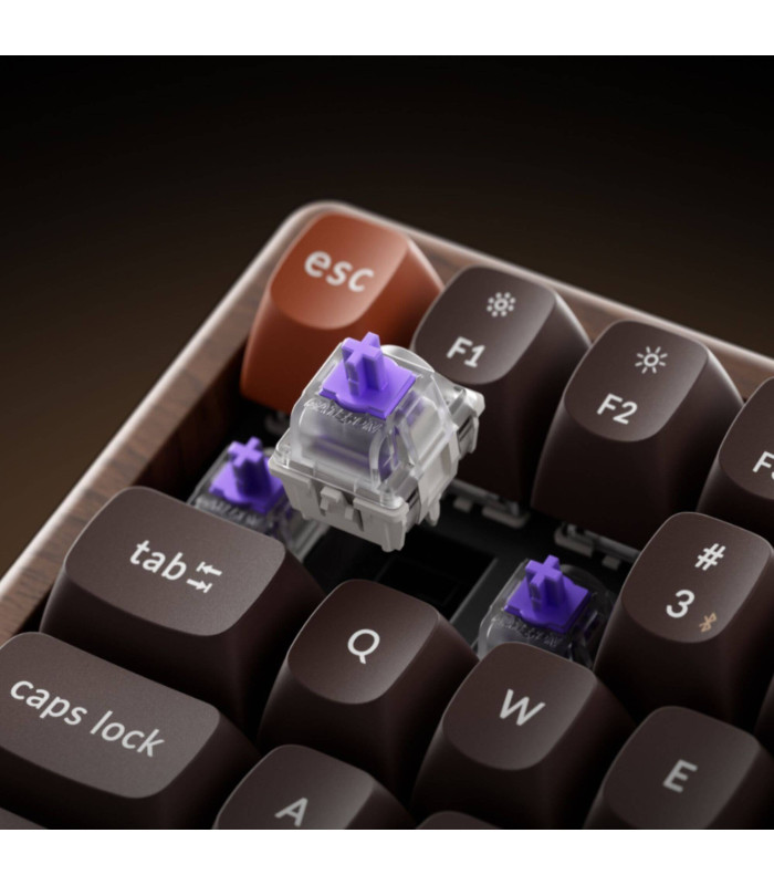Keychron K2 HE All Wood Edition Magnetic Switch (US)