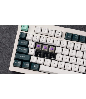 Q5 HE Shell White QMK Magnetic Switch (CH)