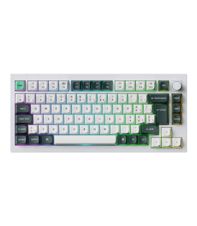 Q1 HE Shell White QMK Magnetic Switch (CH)