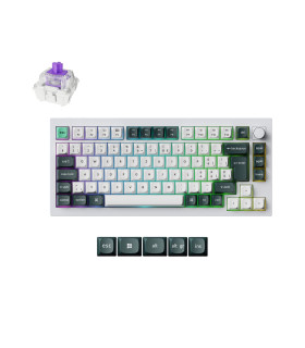 Q1 HE Shell White QMK Magnetic Switch (CH)