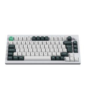 Q1 HE Shell White QMK Magnetic Switch (CH)