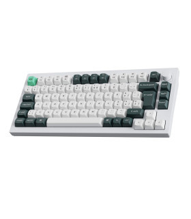 Q1 HE Shell White QMK Magnetic Switch (CH)