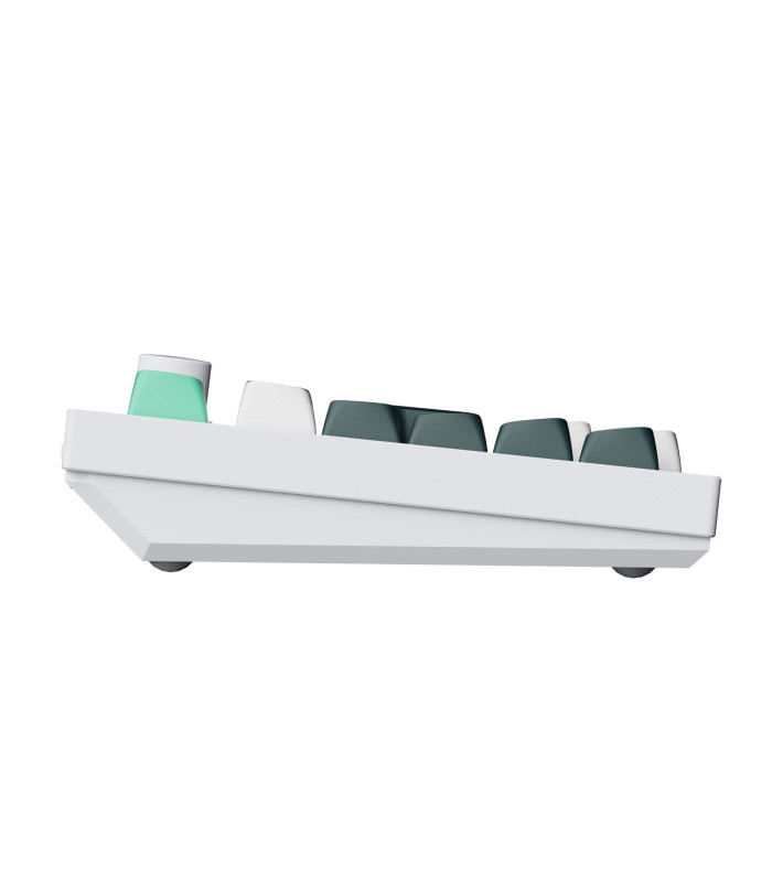 Q1 HE Shell White QMK Magnetic Switch (CH)