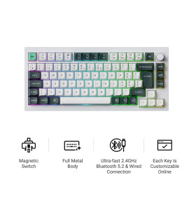 Q1 HE Shell White QMK Magnetic Switch (CH)