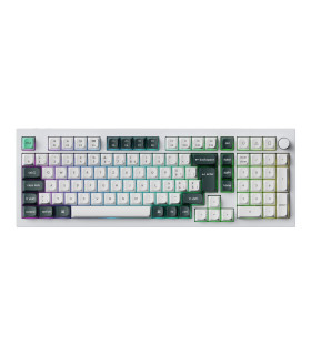 Q5 HE Shell White QMK Magnetic Switch (CH)