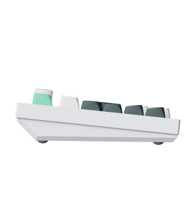 Q5 HE Shell White QMK Magnetic Switch (CH)