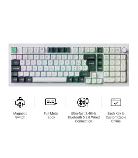 Q5 HE Shell White QMK Magnetic Switch (CH)