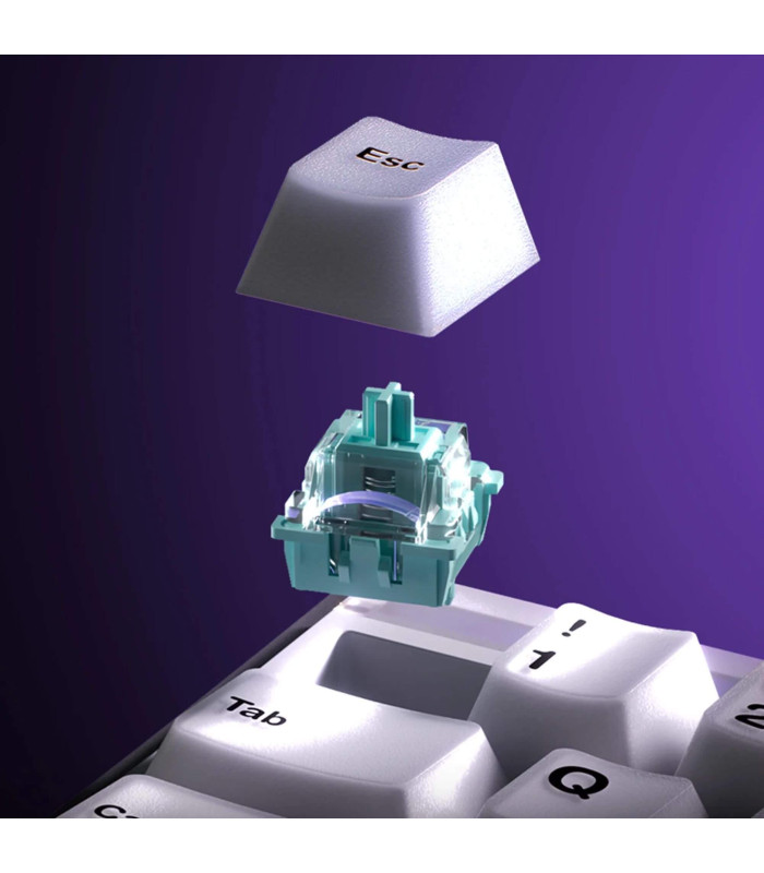 AKKO RAY68-HE Wireless White