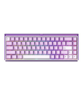 AKKO RAY68-HE Wireless Purple